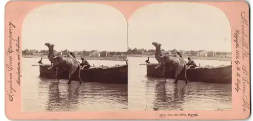 Stereo-Fotografie Keystone View Company, Meadville, PA, Ansicht Ägypten, Ruderboot und Kamel auf dem Nil