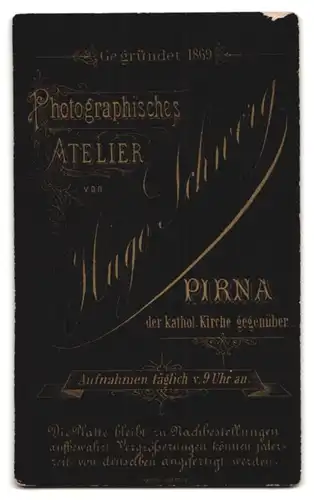 Fotografie Hugo Schwerg, Pirna, Dame im Kleid mit Halskette und zurückgesteckten Haaren