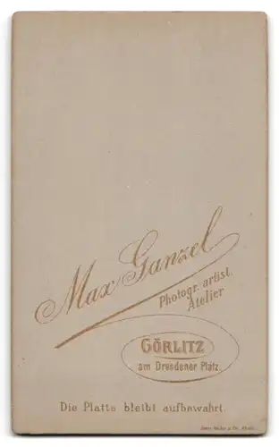 Fotografie Max Ganzel, Görlitz, Portrait dicke Dame mit zusammengebundenem Haar