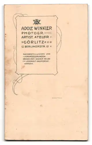 Fotografie Adolf Winkler, Görlitz, Portrait junge Dame mit zusammengebundenem Haar