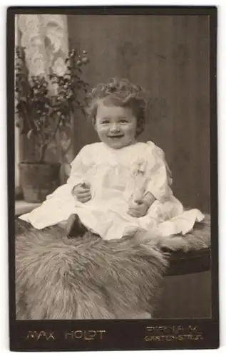 Fotografie Max Holdt, Pirna a/E, Portrait Kleinkind mit Locken