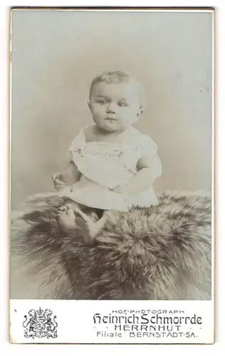 Fotografie Heinrich Schmorrde, Herrnhut, Portrait Säugling in Leibchen