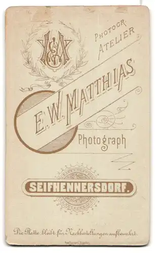 Fotografie E. W. Matthias, Seifhennersdorf, Portrait Herr in Anzug mit Hemd mit Stehkragen und Krawatte