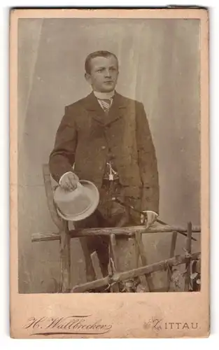 Fotografie H. Wallbrecker, Zittau, Portrait junger Mann in Anzug mit Stock und Hut