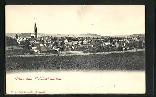 AK Steinbockenheim, Teilansicht