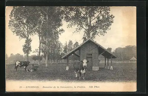 AK Epernon, Domaine de la Savonnière, La Prairie