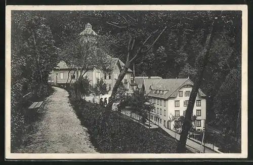 AK Oppenau, Hotel-Erholungsheim Bad Antogast