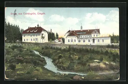 AK Carolagrün im Erzgebirge, Blick zum Hotel