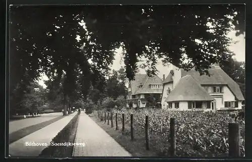 AK Bilthoven, Blick in den Soestdijkseweg