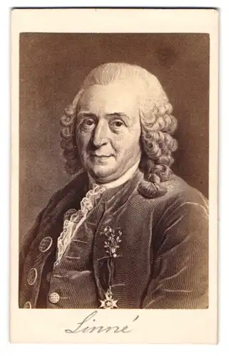 Fotografie Gustav Schauer, Berlin, Naturforscher Linné, 1707 - 1778
