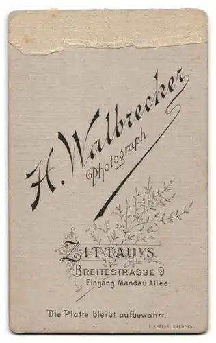 Fotografie H. Walbrecker, Zittau i. S., Portrait dunkelhaarige junge Schönheit mit Perlenhalskette und Brosche