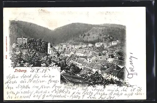 AK Triberg, Ortsansicht aus der Vogelschau