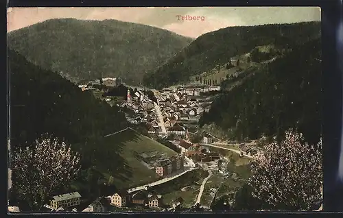 AK Triberg, Gesamtansicht von oben
