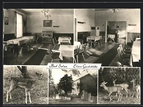 AK Bad Sulza, Elzes Gaststätte mit Rehen
