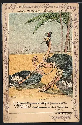 AK Strausse futtern Carenoutur, Reklame