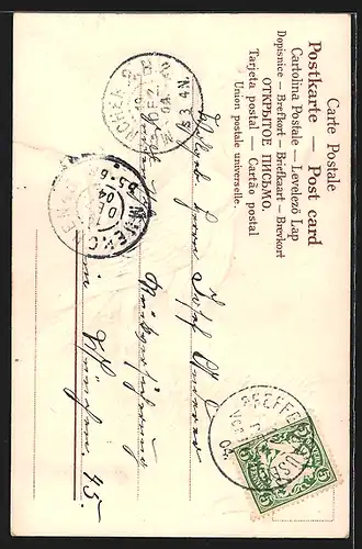 AK Liebeswerben, Tauberich möchte Weibchen imponieren