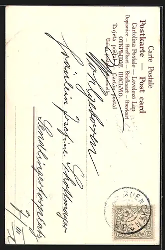 AK Balzendes Vogelpärchen, vermenschlichte Tiere