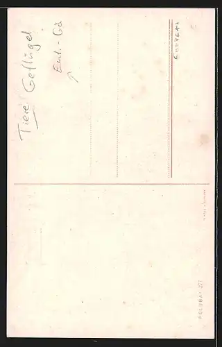 Künstler-AK Klapperstorch auf einem Bein und Ente