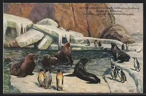 Künstler-AK Hamburg-Stellingen, Carl Hagenbecks Tierpark, Walross und Pinguine