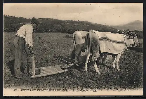 AK Bauer bei der Feldarbeit mit Ochsen-Gespann in den Pyrenäen