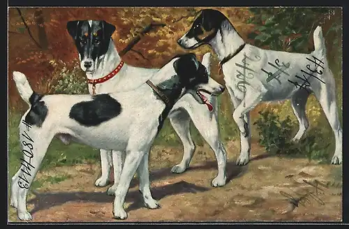 Künstler-AK Drei schwarz-weiss gefleckte Terrier
