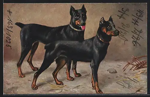 Künstler-AK Zwei aufmerksame dunkle Jagdhunde