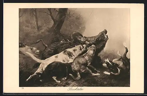 AK Sauhatz, Hunde stellen Wildschwein, Schwarzwild