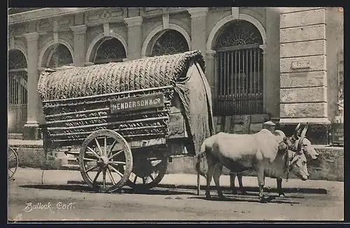 AK Sri Lanka, Ochsen im Gespann, Henderson & Co.