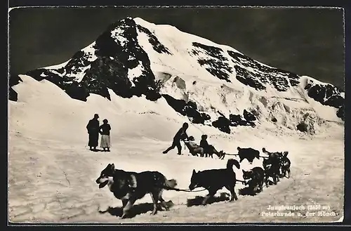 AK Jungfraujoch, Polarhunde und Mönch