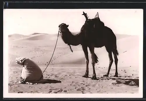 AK La Prière au desert