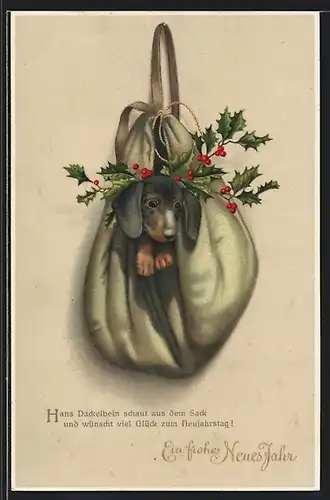 AK Dackel im Rucksack mit Stechpalmenzweig