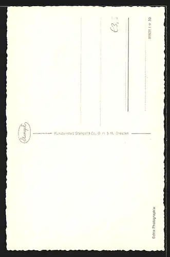 AK Kopf eines Hundes mit geflecktem Fell