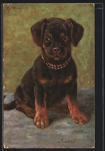 AK Junger Hund mit Kettenhalsband in Sitzposition