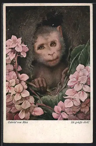 AK Affe schaut aus einem Sack heraus, Blumen