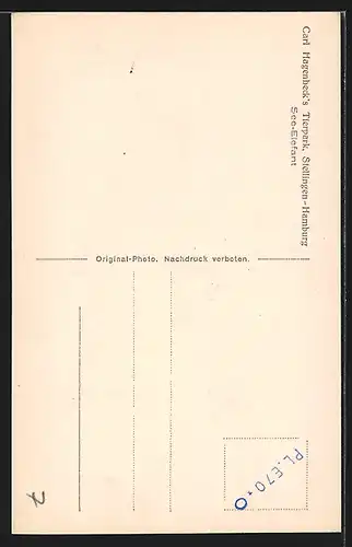 AK Hamburg-Stellingen, See-Elefant und Wärter in Hagenbecks Tierpark