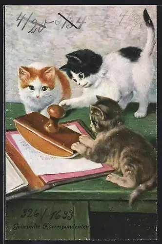 AK Kätzchen mit Stempel