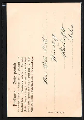 AK Knabe kitzelt ein Schwein, Neujahrsgruss