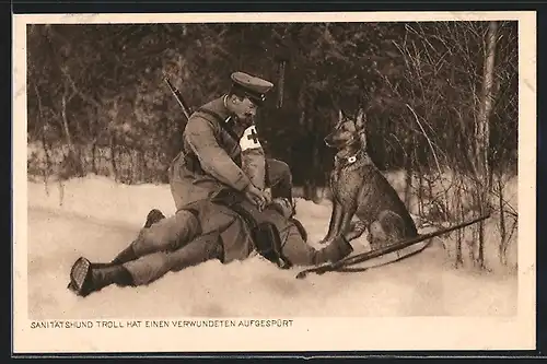 AK Rot Kreuz Sanitäter & Diensthund helfen einem Kamerad