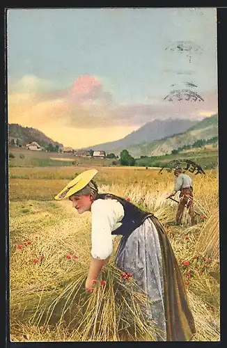 AK Landwirtin pflückt Getreide auf einem Feld
