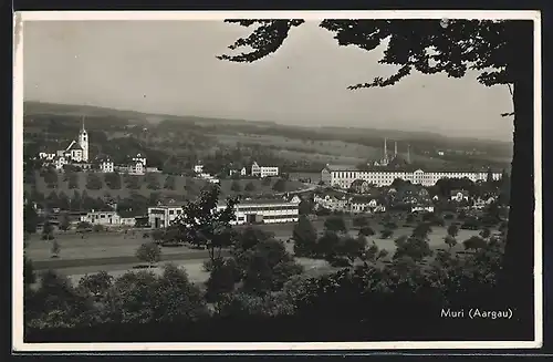 AK Muri, Blick auf das Kloster
