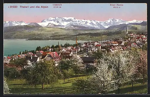AK Thalwil, Teilansicht und die Alpen, Glärnisch u. Böser Faulen