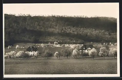 AK Birr, Schweiz. Pestalozziheim Neuhof