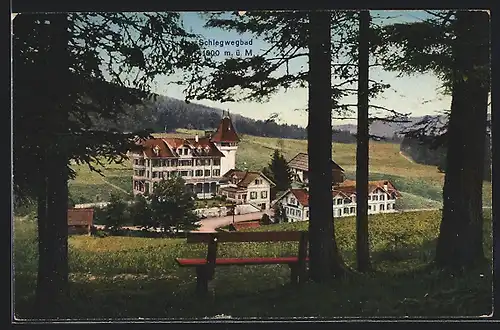 AK Schlegwegbad, Ortspartie mit Hotel von F. Matthys