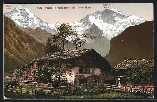 AK Wilderswil bei Interlaken, Altes Chalet gegen Mönch und Jungfrau
