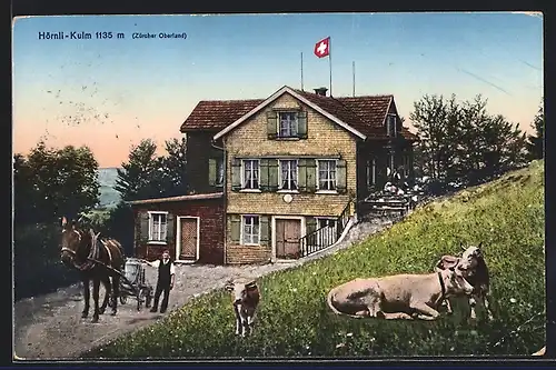 AK Hörnli-Kulm, Hotel mit weidenden Kühen
