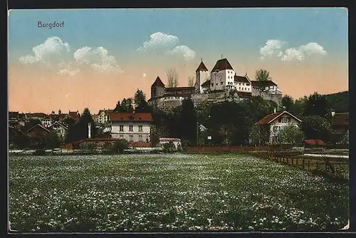 AK Burgdorf, Ortspartie mit Schloss