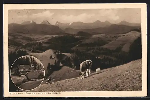 AK Lüderenalp, Kurhaus, Panorama mit weidenden Kühen