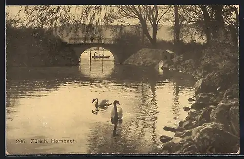 AK Zürich, Hornbach mit Brücke