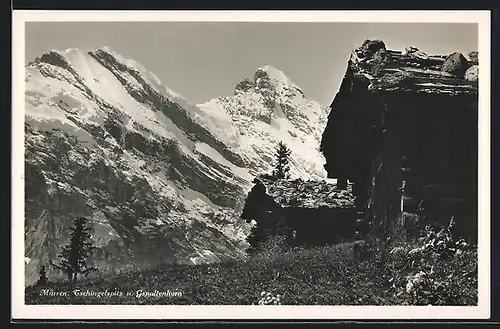 AK Mürren, Berghütte vor Tschingelspitz und Gspaltenhorn