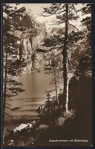 AK Blümlisalp, Ortsansicht mit Oeschinensee aus der Vogelschau